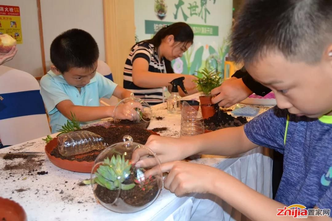  绿植租赁公司：微景观绿植DIY，清新夏日!(图4)